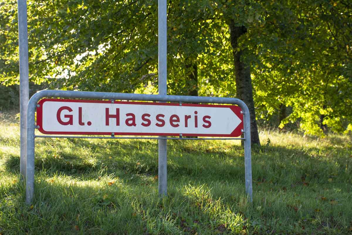 Gl hasseris_27